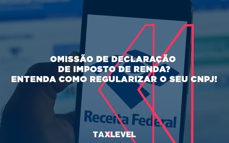 Omissao De Declaracao De Imposto De Renda - Taxlevel | Soluções Empresarias em Jaú