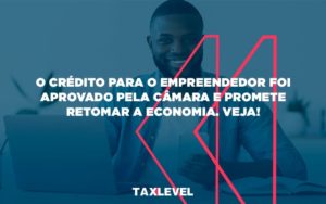 O Credito Para O Empreendedor Taxlevel - Taxlevel | Soluções Empresarias em Jaú